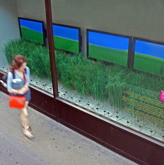 Urban Prairie; Interactive Shop Window