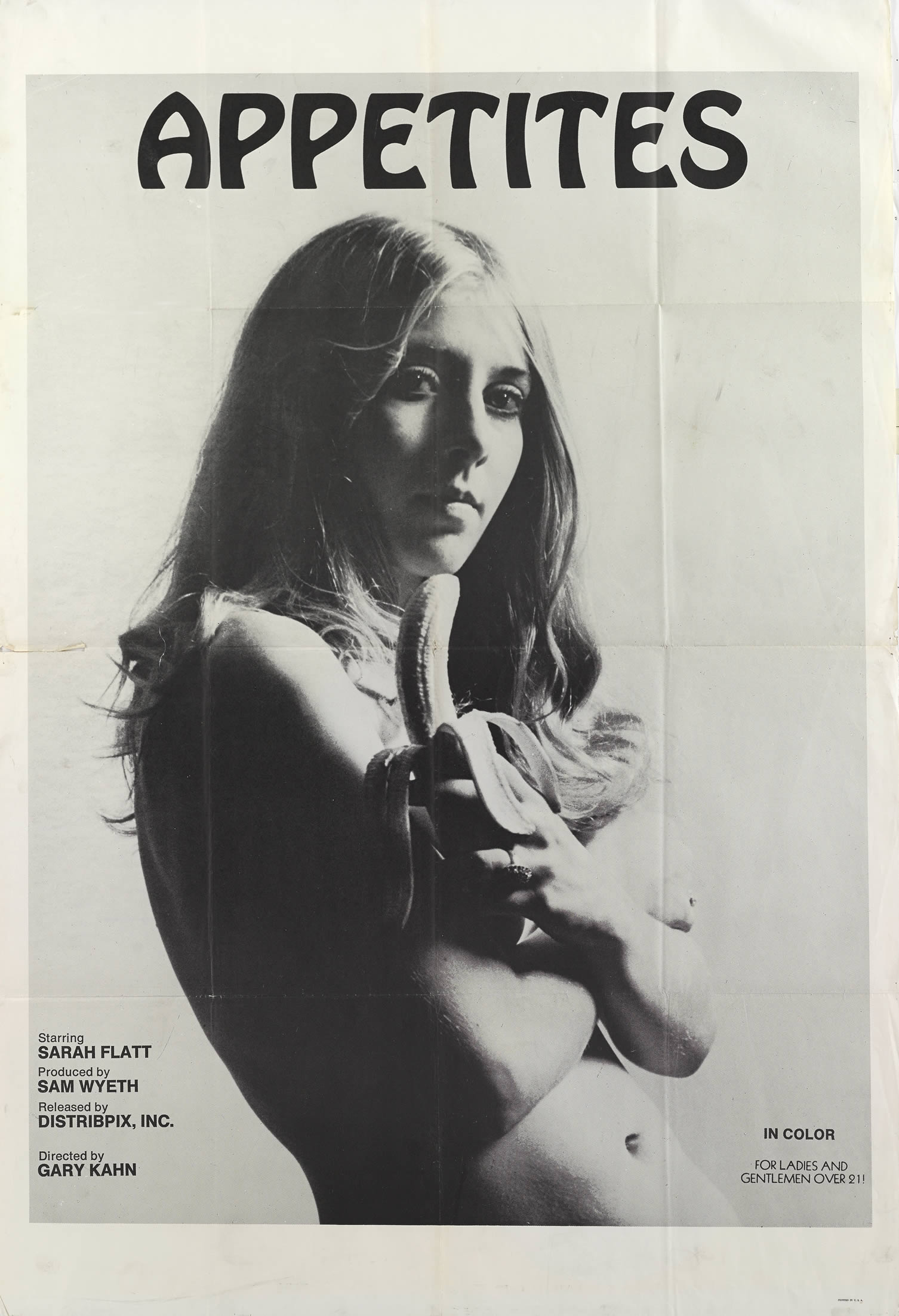 X-Rated Adult Movie Posters of the 60s and 70s by Reel Art Press