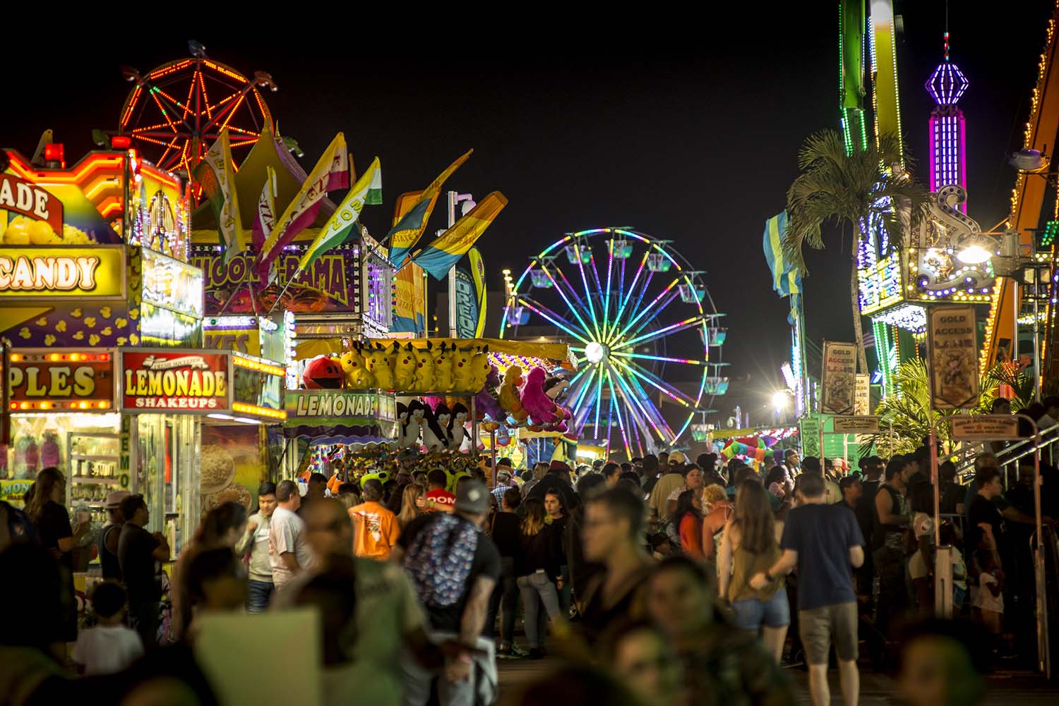 The Florida State Fair 2023