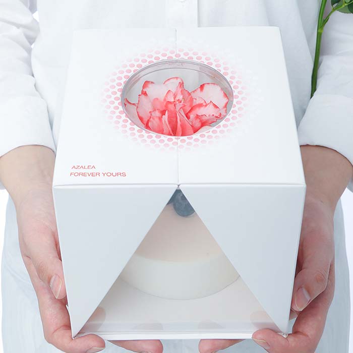 The Language of Emotion and Time Cake Packaging by Jiaxin Lv is Winner in Packaging Design Category, 2022 - 2023.