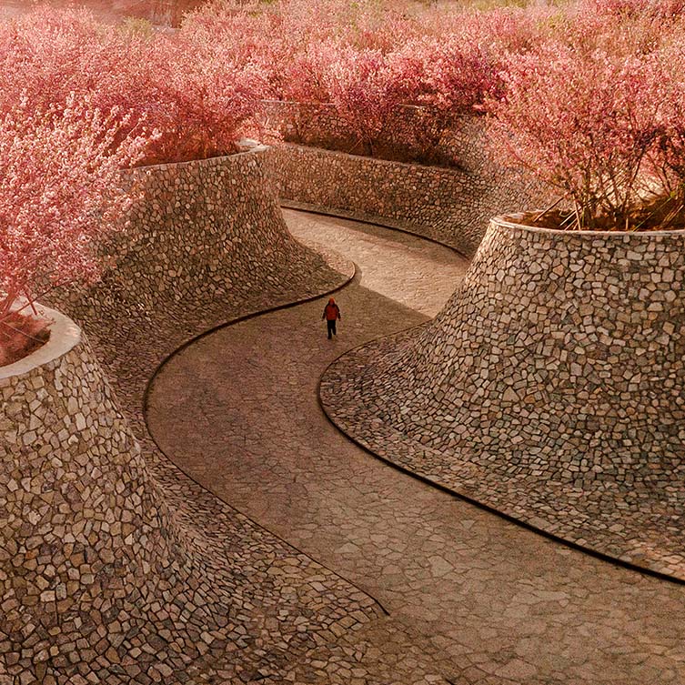 Rizhao Bailuwan Cherry Blossom Town Art and Cultural Space oleh Hu Sun-Spi adalah Pemenang dalam Kategori Perencanaan Lanskap dan Desain Taman, 2021 - 2022.