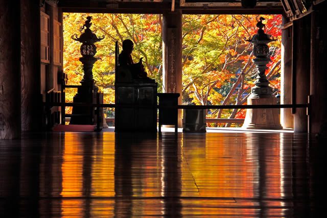 72 Seasons Nara by Beautiful Living Research Lab