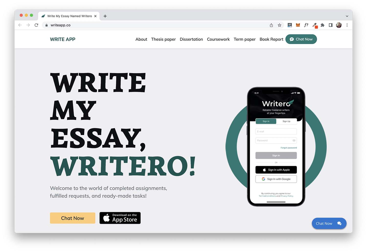 website that writes your essay