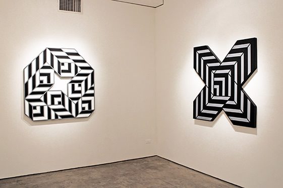 Aakash Nihalani, Portal