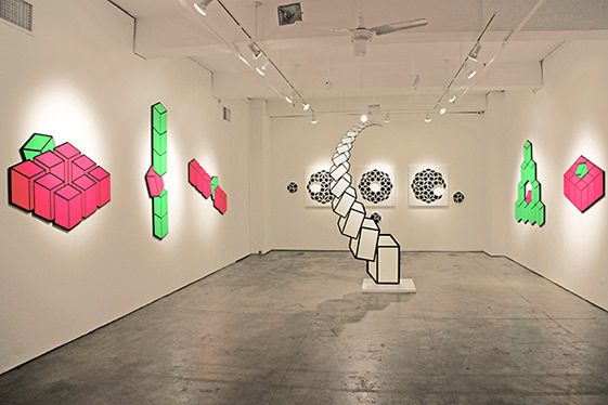 Aakash Nihalani, Portal