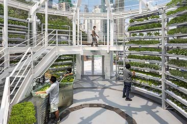 Sustainable Products and Green Design Award