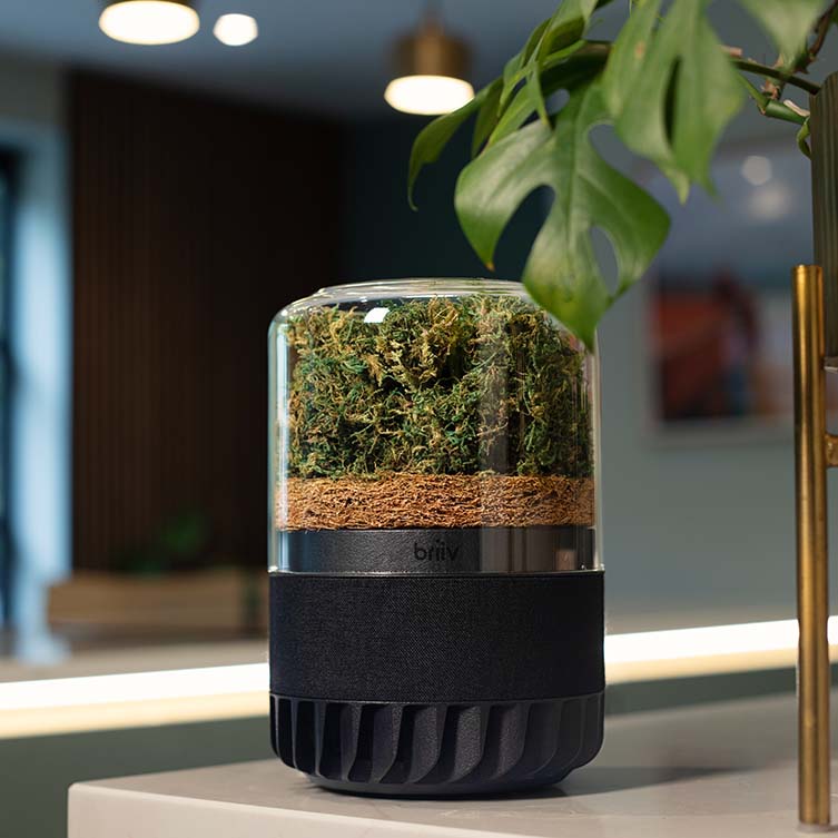 Briiv Pro Air Purifier by Whitfield Sykes is Winner in Sustainable Products, Projects and Green Design Category