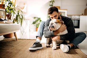 A Guide to Keeping a Happy Dog