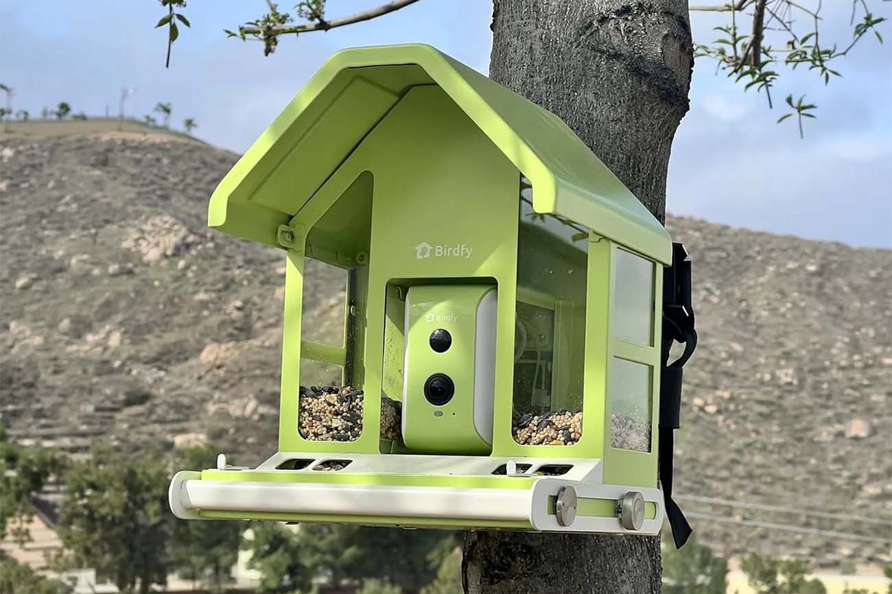 Why You Don’t Need to Travel Far: How AI Bird Feeders Bring the World’s Birds to Your Doorstep