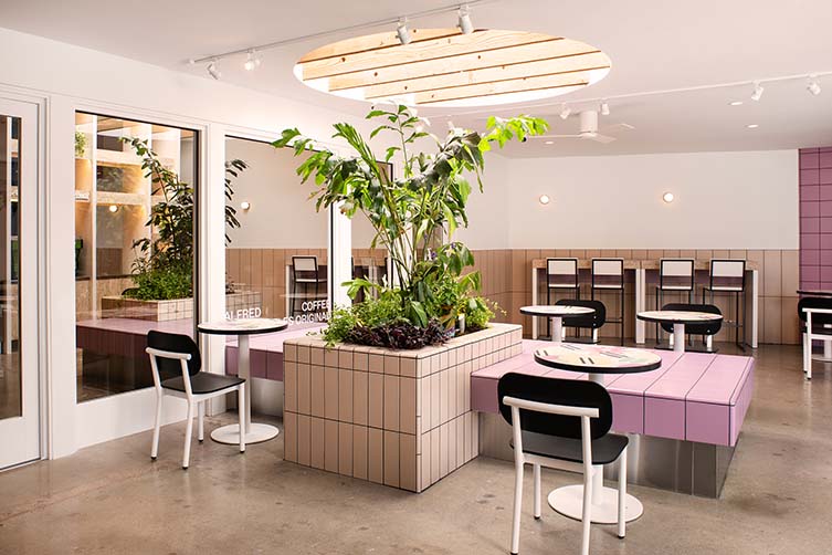 Alfred Coffee Encino, Los Angeles