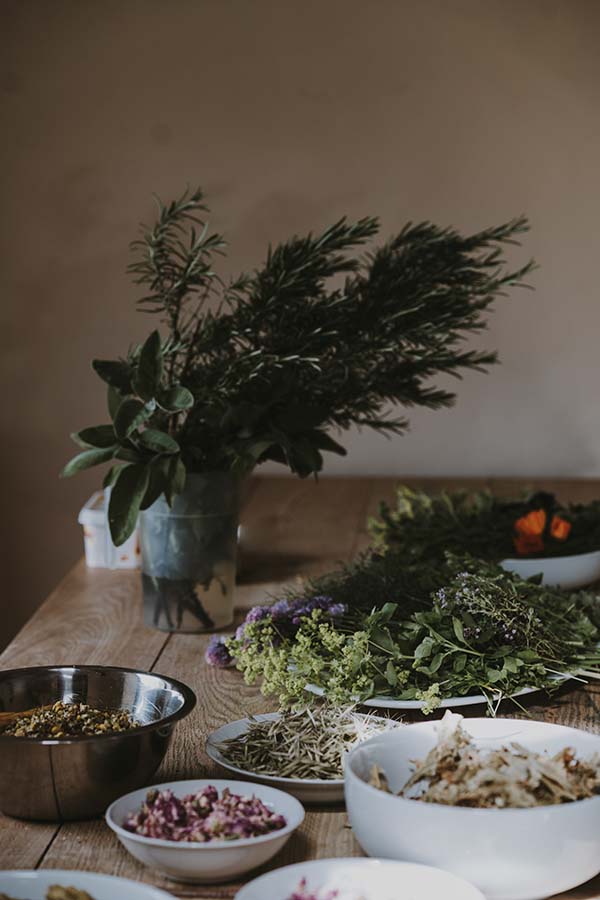 Five Reasons to Consider Trying Alternative Remedies and Therapies