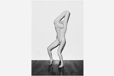 Asger Carlsen — Hester, at V1 Gallery Copenhagen