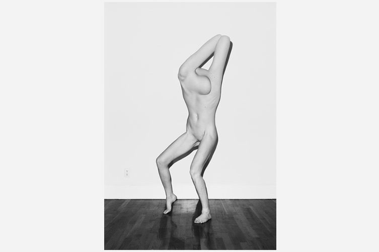 Asger Carlsen — Hester, at V1 Gallery Copenhagen