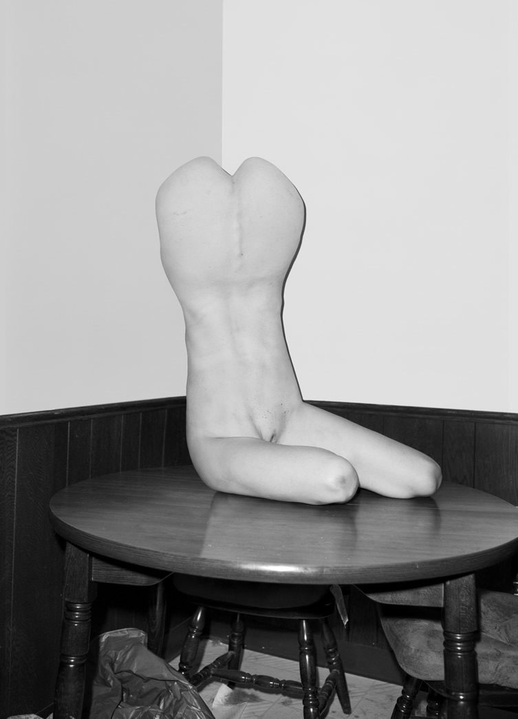 Asger Carlsen — Hester, at V1 Gallery Copenhagen