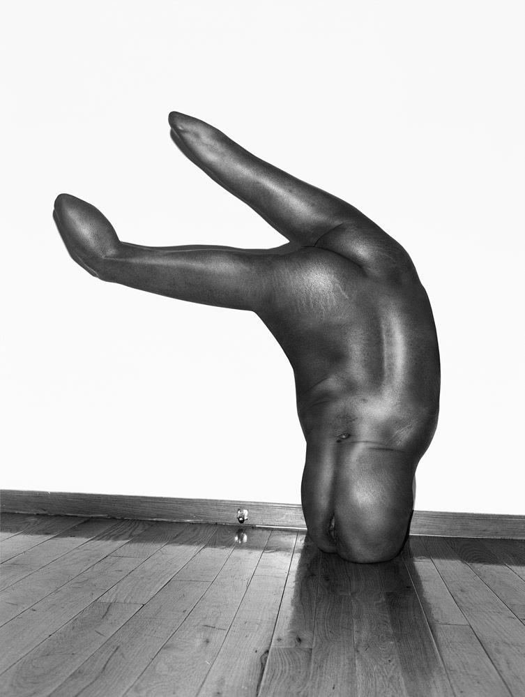 Asger Carlsen — Hester, at V1 Gallery Copenhagen