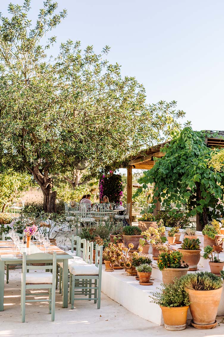 Ibiza Farm-to-Table Restaurant Sant Miquel De Balansat