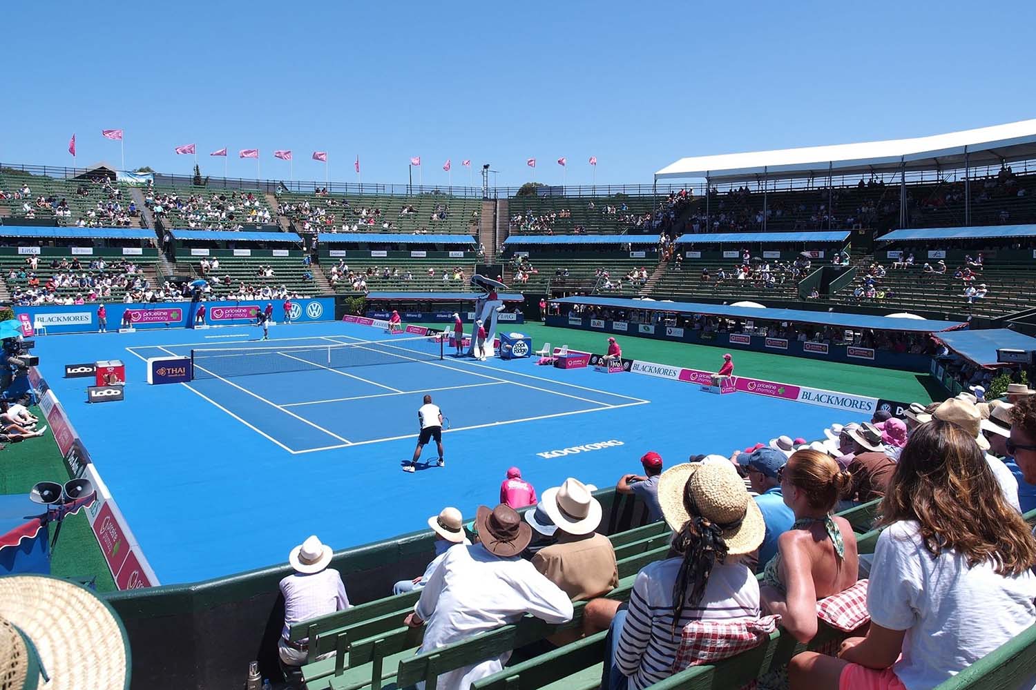 2023 Australian Open Odds Tracker & Betting Tips