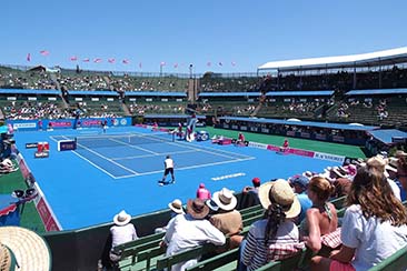 2023 Australian Open Odds Tracker & Betting Tips
