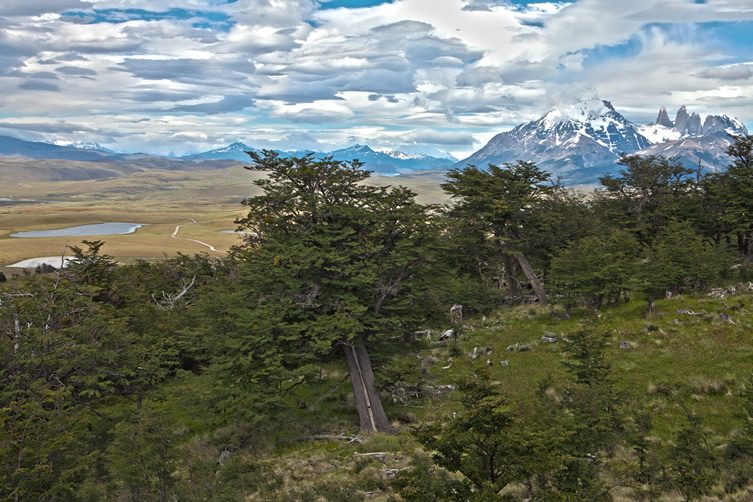 Awasi Patagonia — Chile