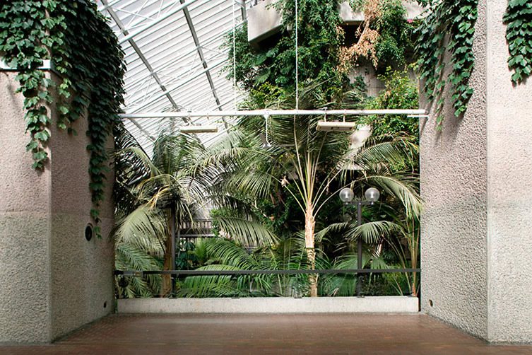 The Barbican Conservatory