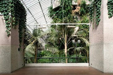 The Barbican Conservatory