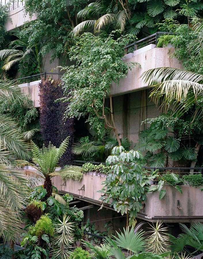 The Barbican Conservatory