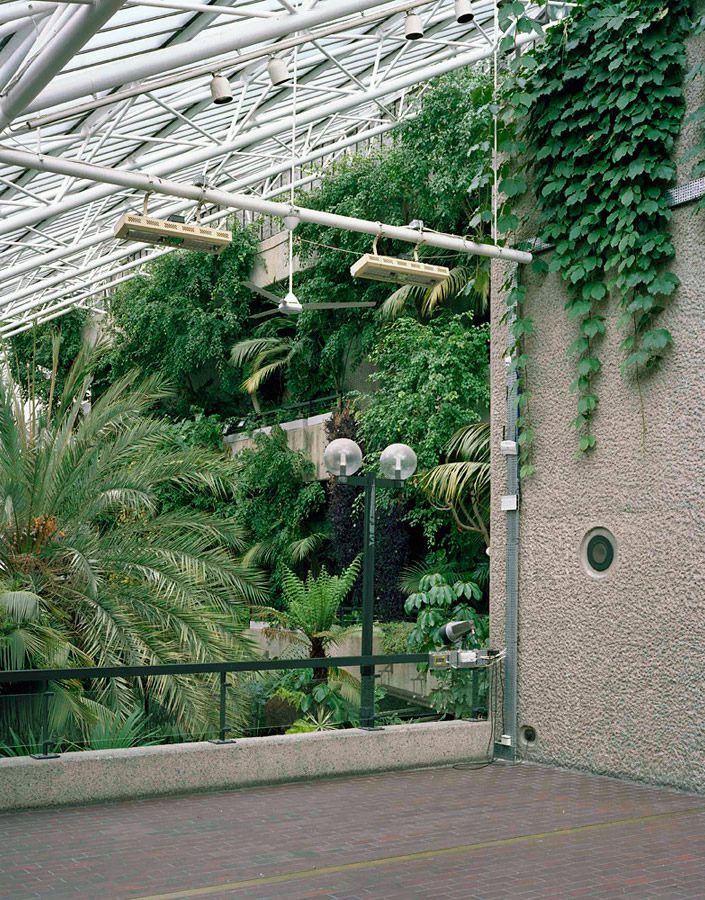 The Barbican Conservatory