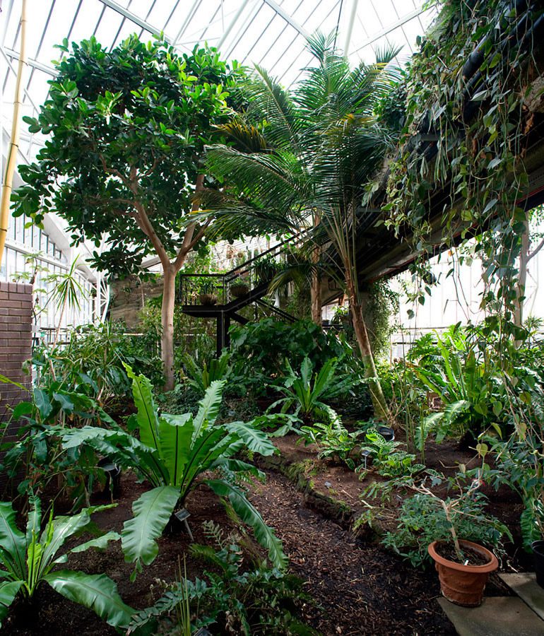 The Barbican Conservatory