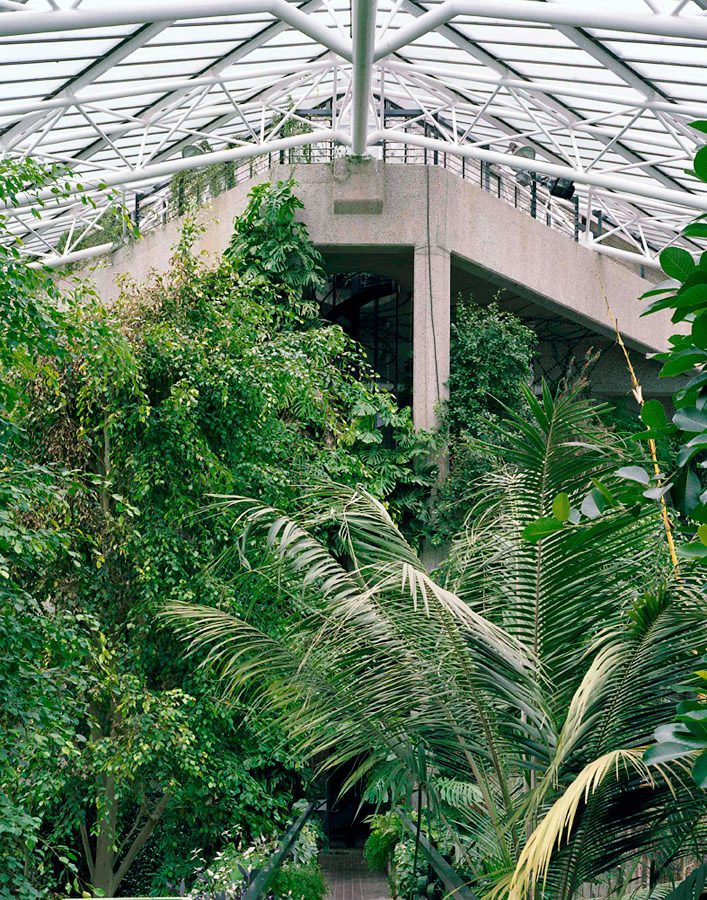 The Barbican Conservatory