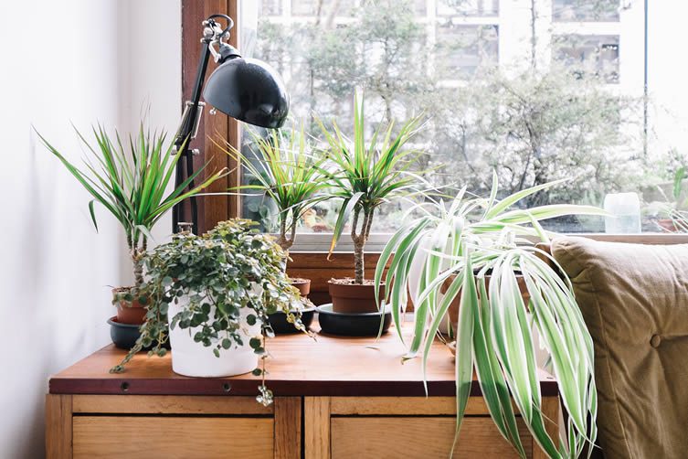 Inside the Barbican Estate