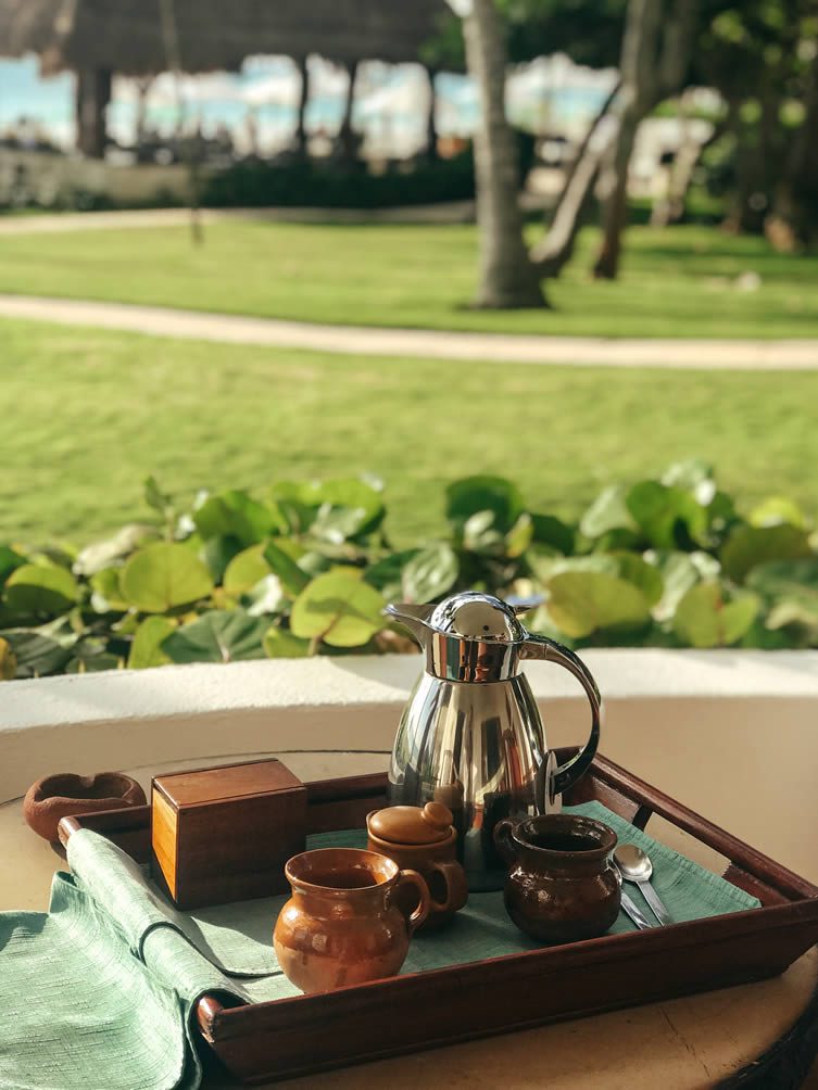 our morning coffee service each morning; accompanied by the regular appearance of a cheeky coati