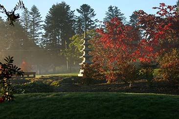 Bergen’s Botanical Garden