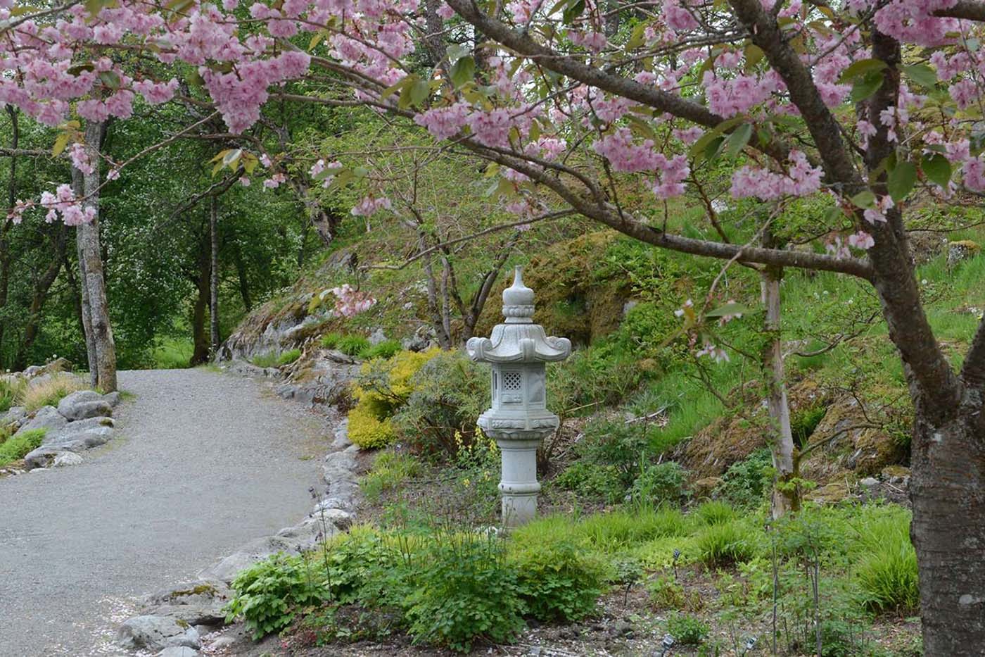 Bergen's Botanical Garden: A Tranquil Oasis in the City