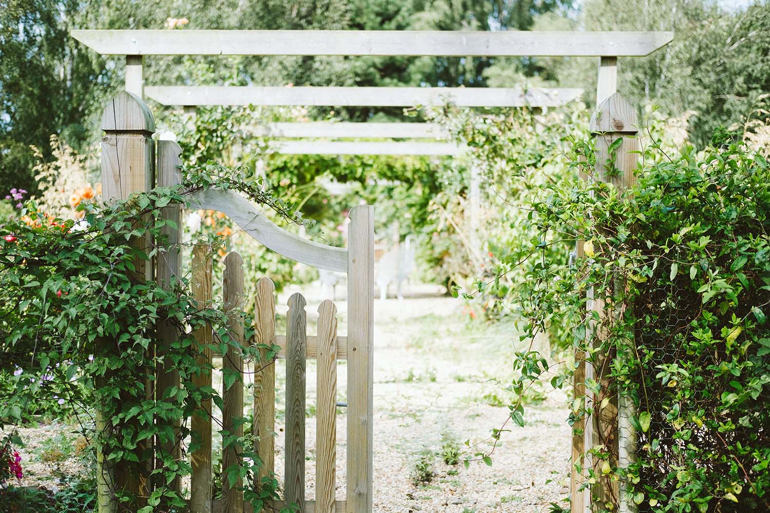 Tips to Take Your Garden to the Next Level