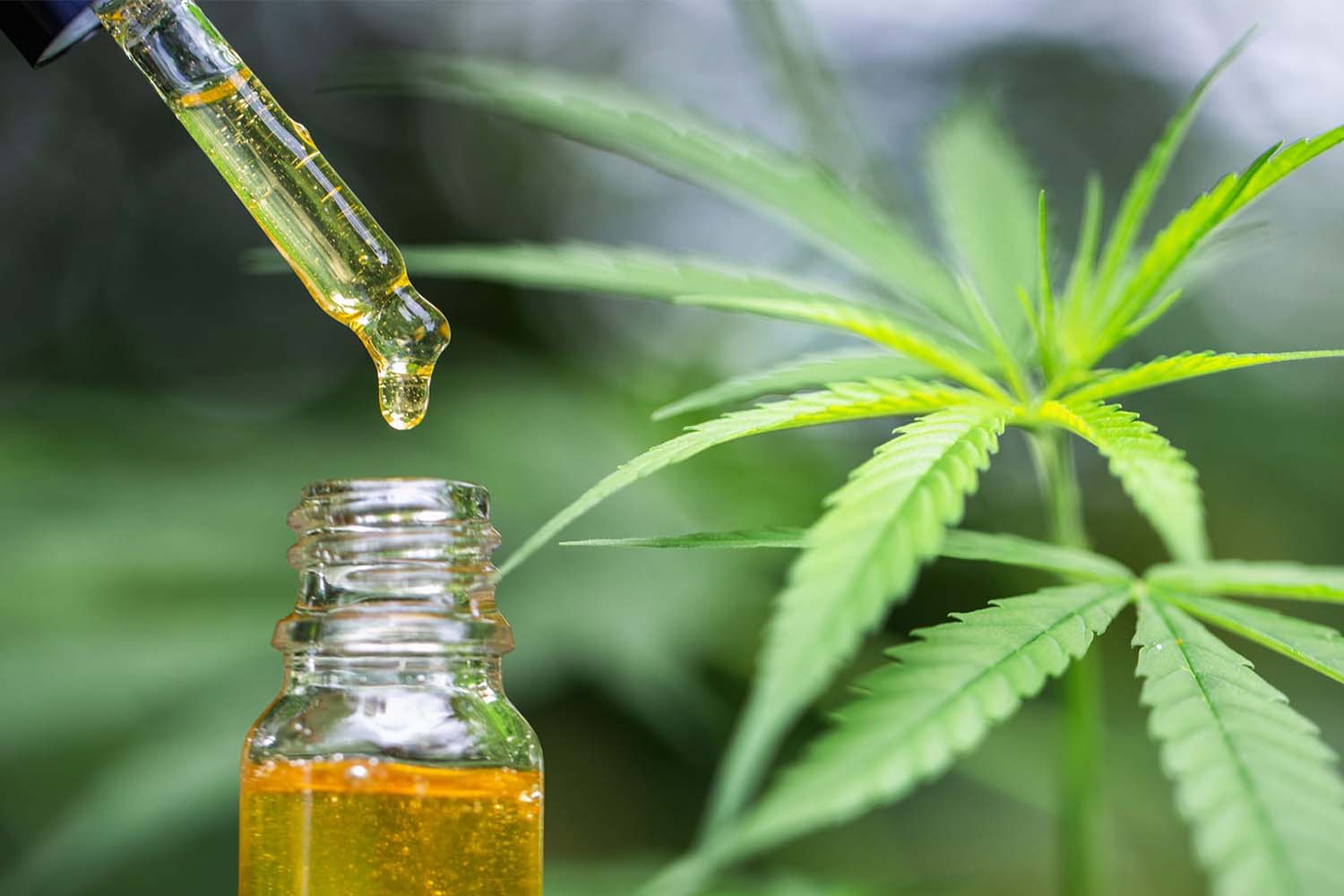 CBD Oil: Benefits, Uses & Best UK CBD Brands (2020)