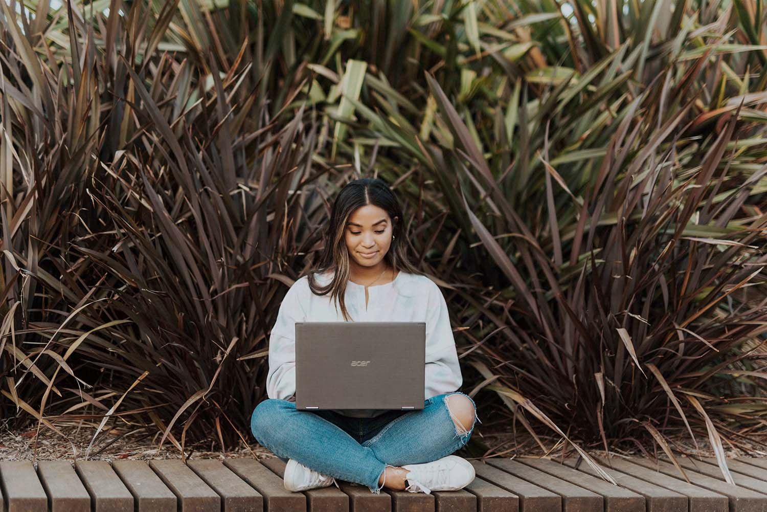 How to Choose the Best Essay Writing Services