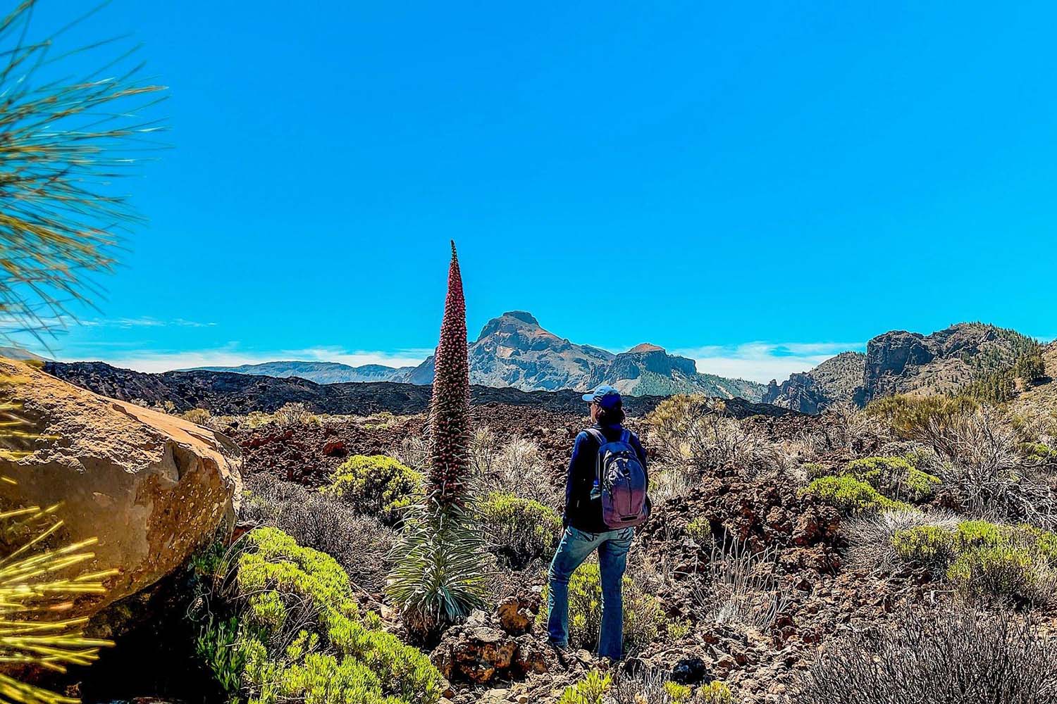 The 10 Best Hikes in Spain