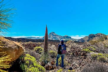 The 10 Best Hikes in Spain