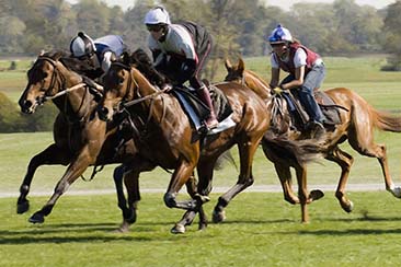 Where to Bet on Horses for Real Money in the UK