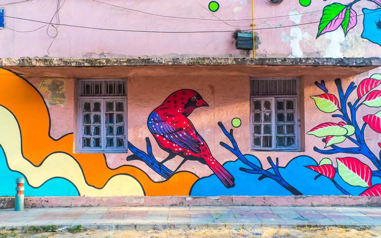 Bicicleta Sem Freio Street Art India