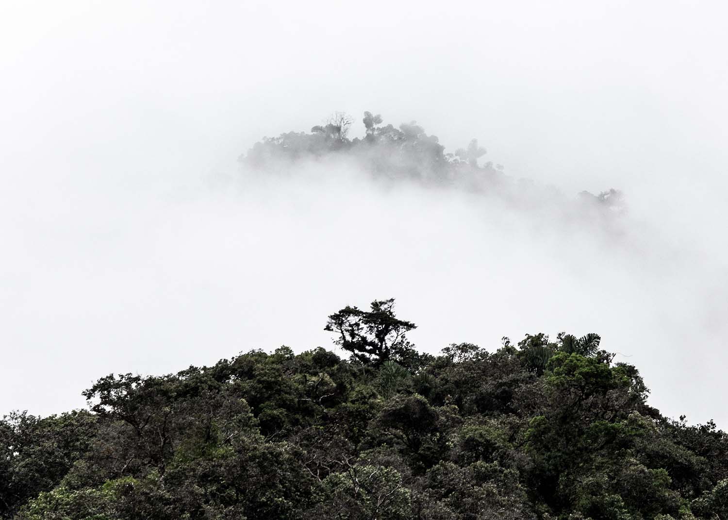 The Very Best Birdwatching Destinations Around the World