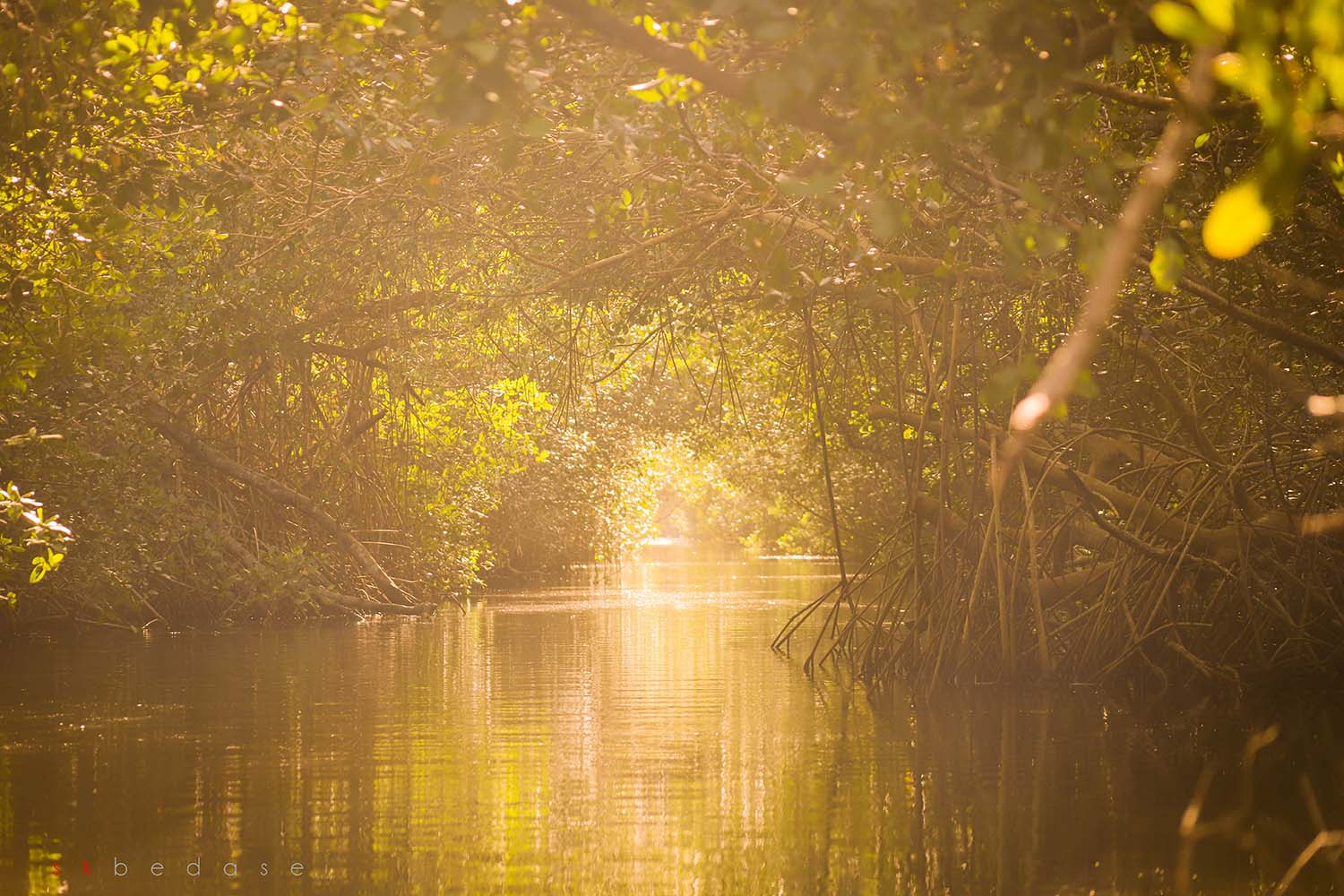 The Very Best Birdwatching Destinations Around the World