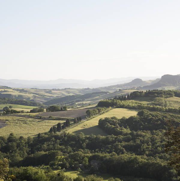 Pignano Grounds