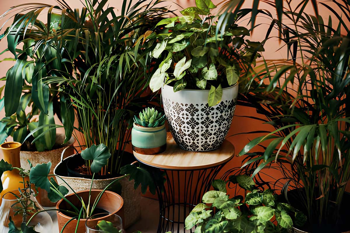 How Boutique Hotels Are Influencing Home Design and Real Estate Trends