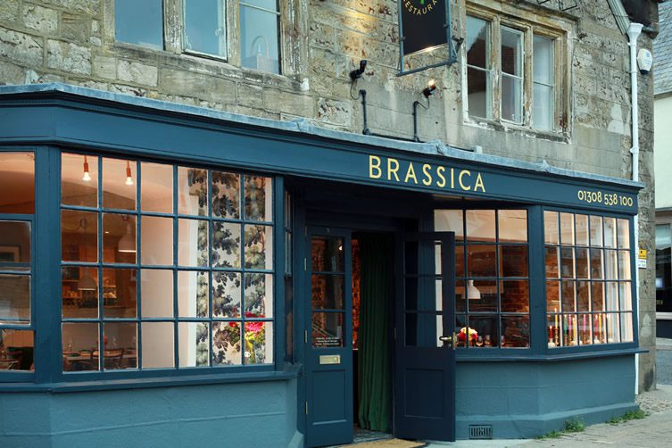 Brassica — Beaminster, Dorset