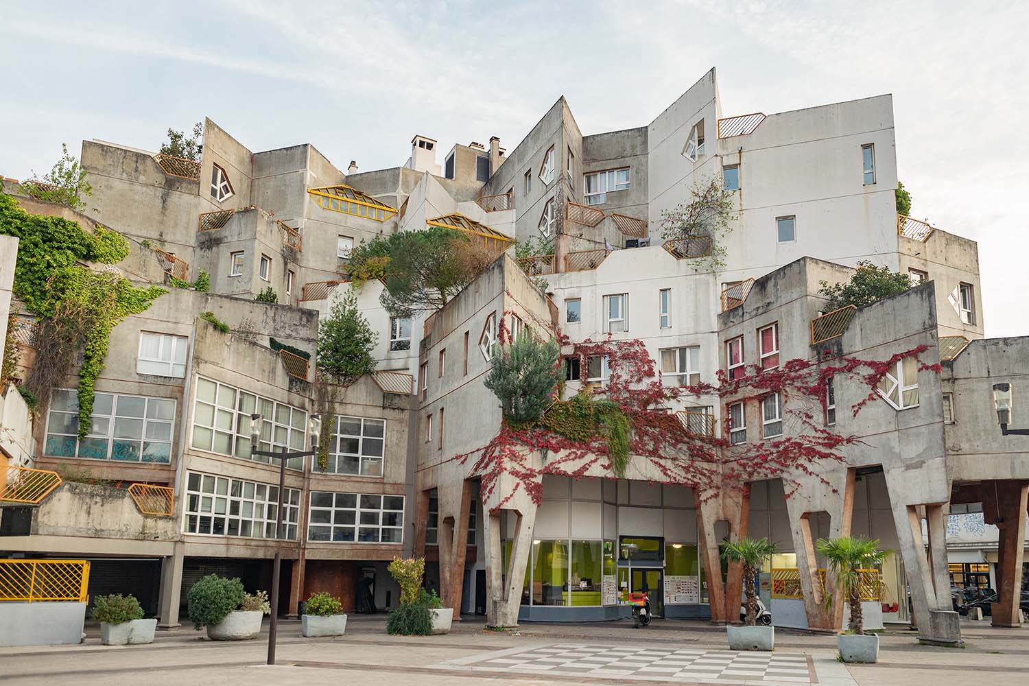Olivia Broome, Brutalist Plants