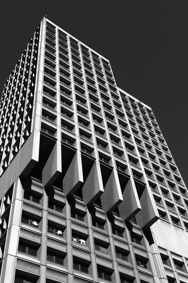 Sydney Town Hall House Sydney