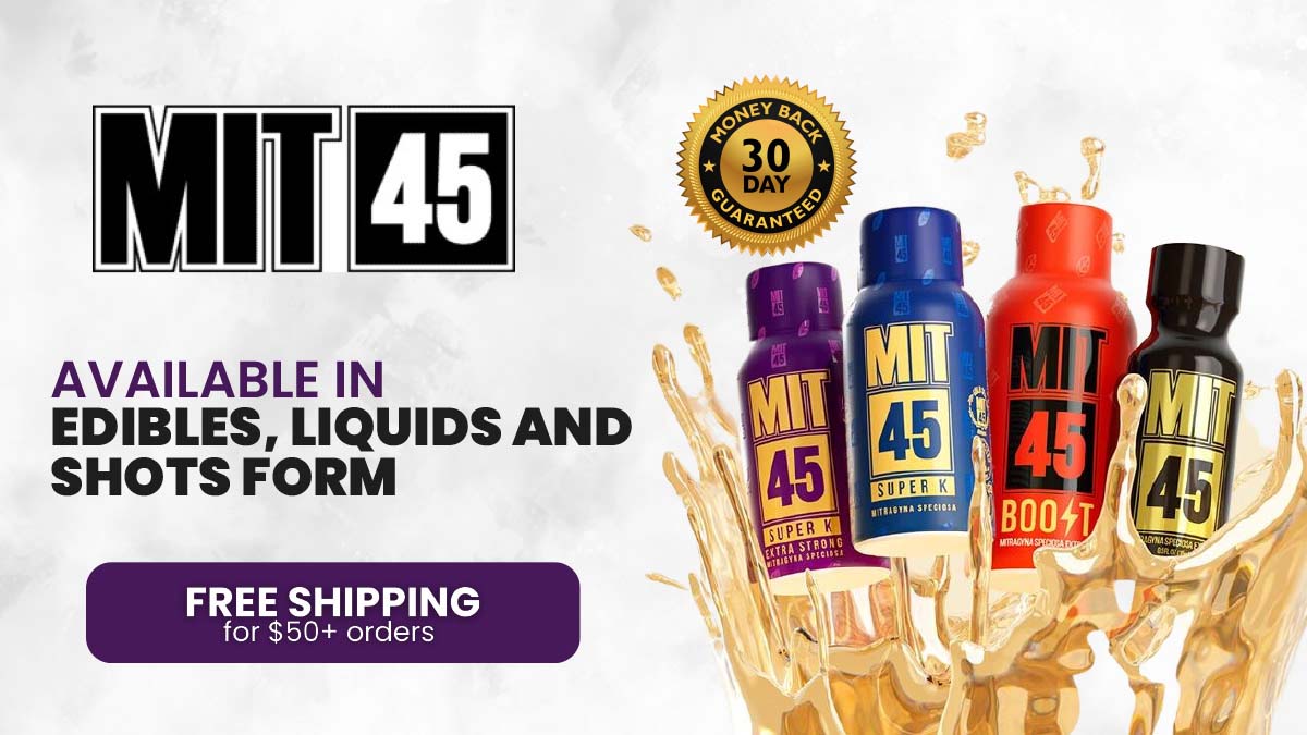 MIT45