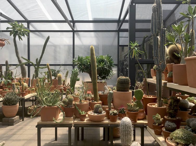 Cactus Store Pop-Up Shop New York by Carlos Morera, and Jeff Kaplon