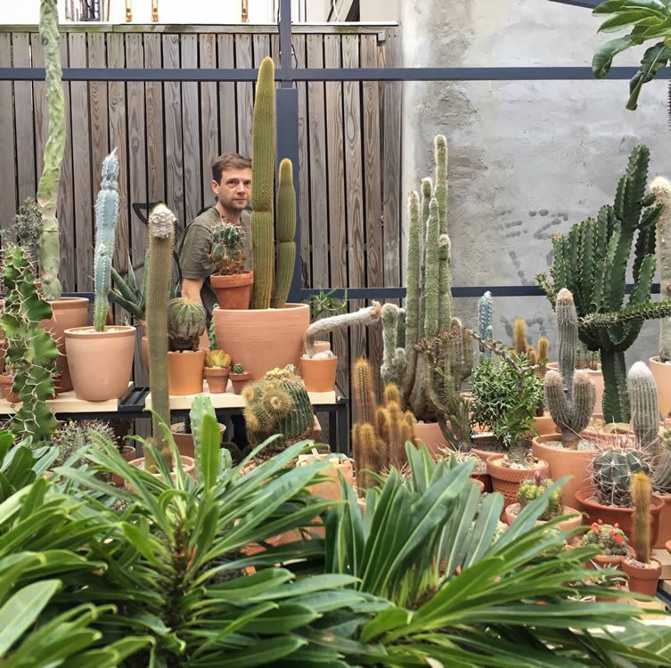 Cactus Store Pop-Up New York